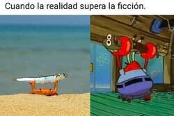 Enlace a La naturaleza es asombrosa