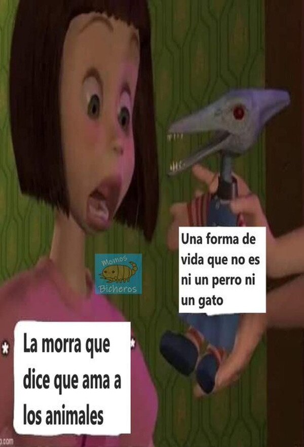 Meme_otros - Ama a dos animales