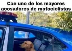 Enlace a Ya podemos dormir tranquilos