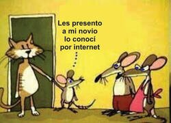 Enlace a No sé si es su tipo...