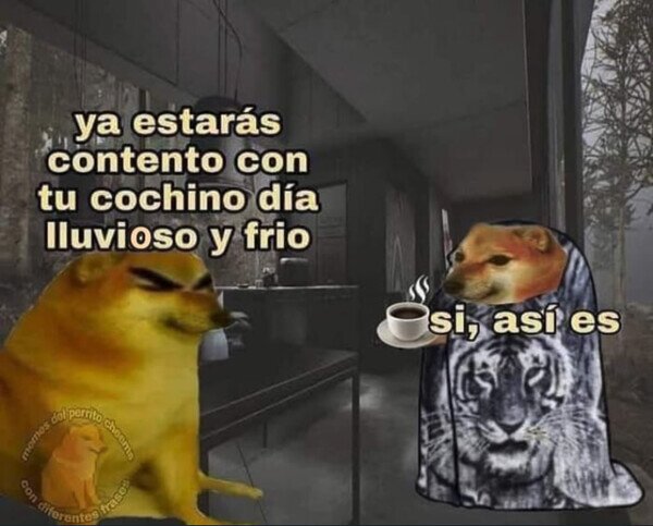 Meme_otros - Hay que aprovecharlo