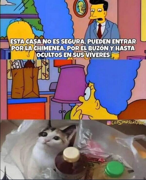 Meme_otros - Intruso en la bolsa de la compra