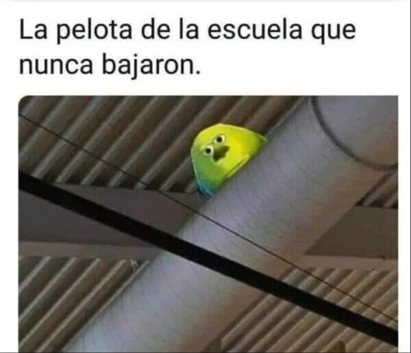 Meme_otros - Se quedó ahí para siempre