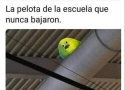 Enlace a Se quedó ahí para siempre