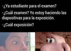 Enlace a Qué divertida es la amistad entre idiotas