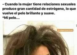 Enlace a Nadie me quiere