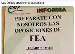 Enlace a Las oposiciones a las que podría optar