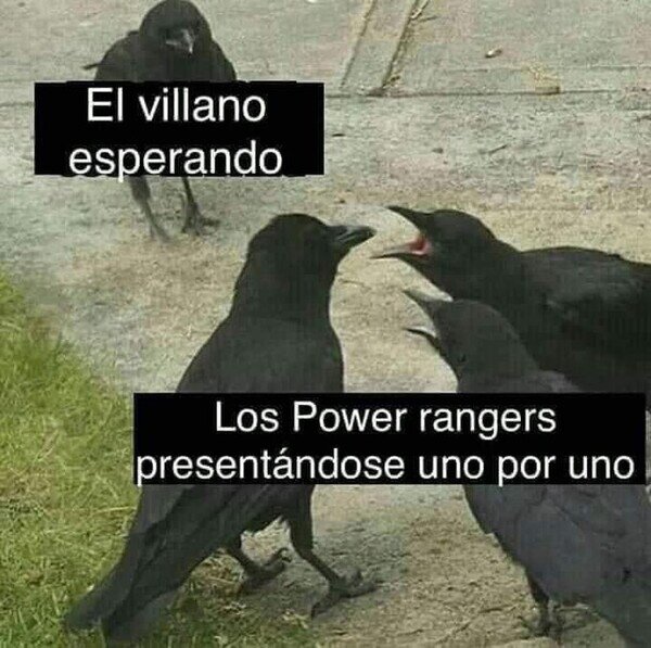 Meme_otros - Un momento, por favor...