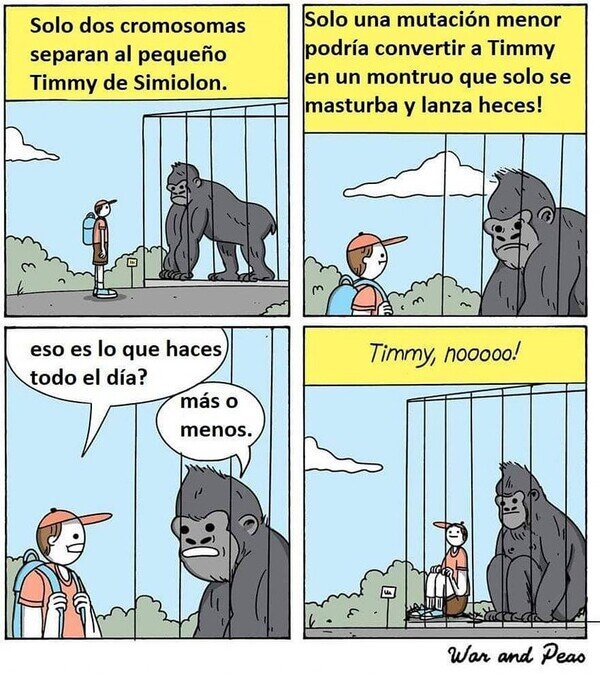 Otros - Timmy quería ser un simio