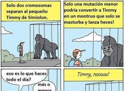 Enlace a Timmy quería ser un simio