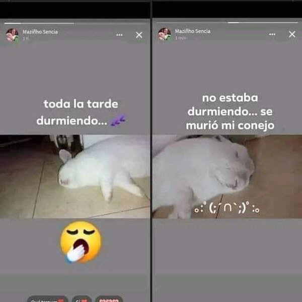 Meme_otros - Una triste historia