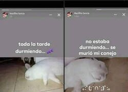 Enlace a Una triste historia