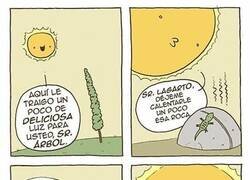 Enlace a Gracias por tanto, Sol