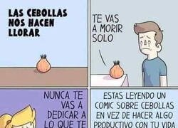 Enlace a Las cebollas nos hacen llorar