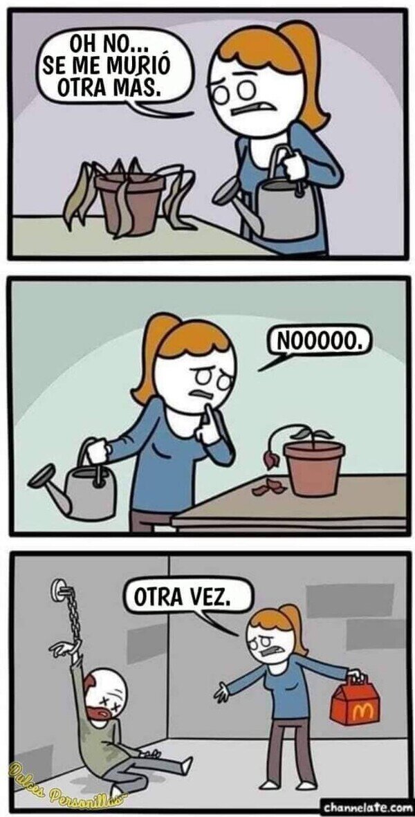 Meme_otros - Cuando no puedes tener seres vivos a tu cargo