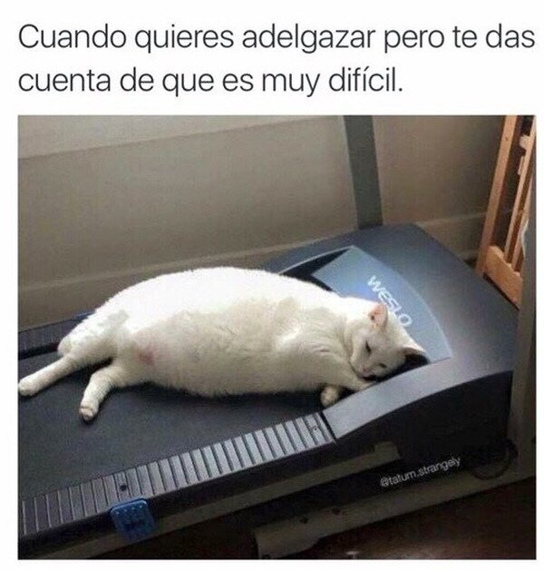 Meme_otros - Ya empiezo mañana...