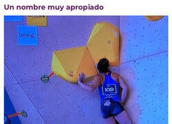 Enlace a Se tenía que dedicar a esto