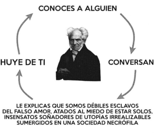 Otros - No se liga mucho siendo Schopenhauer