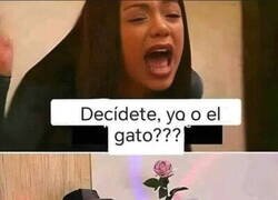 Enlace a Ella o el gato