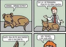 Enlace a No tienes lo que hay que tener