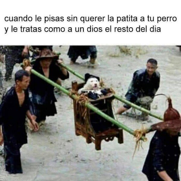 Meme_otros - Me siento demasiado mal