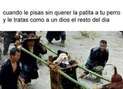 Enlace a Me siento demasiado mal