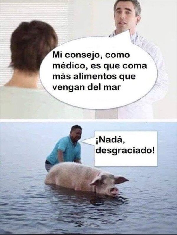 Meme_otros - ¡Chapotea gorrino!
