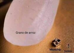 Enlace a Se ven increíblemente pequeños