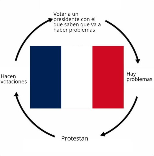 Meme_otros - Así funciona la democracia en Francia