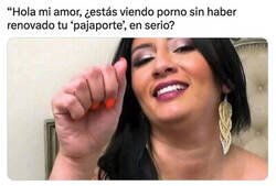 Enlace a El nuevo aviso