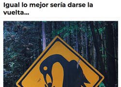 Enlace a Zona peligrosa