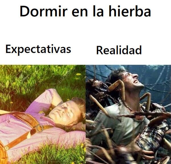 Meme_otros - No es tan bonito como parece