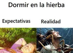 Enlace a No es tan bonito como parece