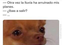 Enlace a ¡LA ROPAAAAAAAAAAAAA...!