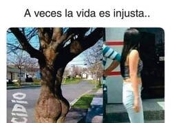 Enlace a Cuando hasta los árboles tienen más culo que tú