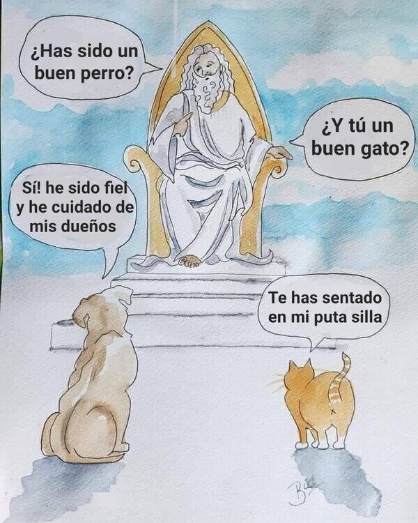 dios,cielo,mascotas,animales,gato,perro