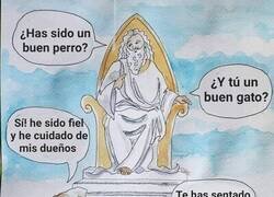 Enlace a Mascotas cuando van al cielo