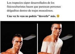 Enlace a Ya no los verás igual