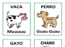 Enlace a ¿Qué ruido hacen?