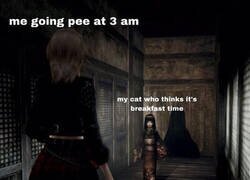 Enlace a No, Misifú, no es la hora de desayunar