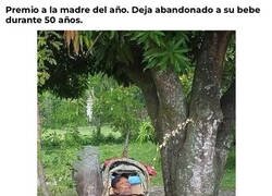 Enlace a Para dejarlos abandonados, que no los tengan