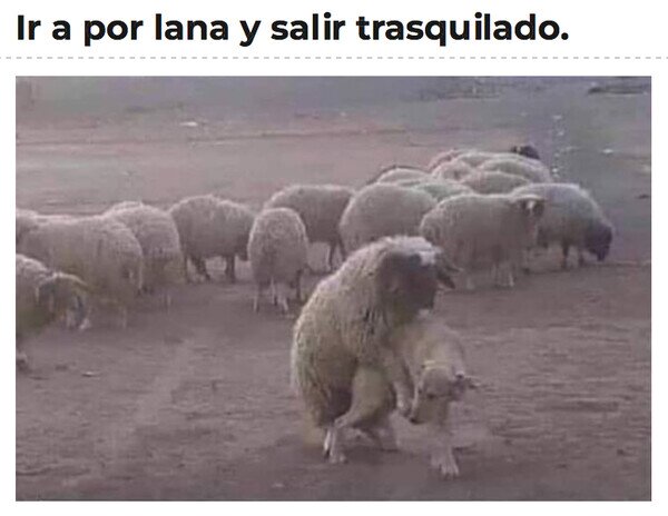 Meme_otros - Nunca mejor dicho