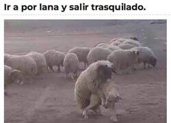 Enlace a Nunca mejor dicho