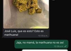 Enlace a Buen intento