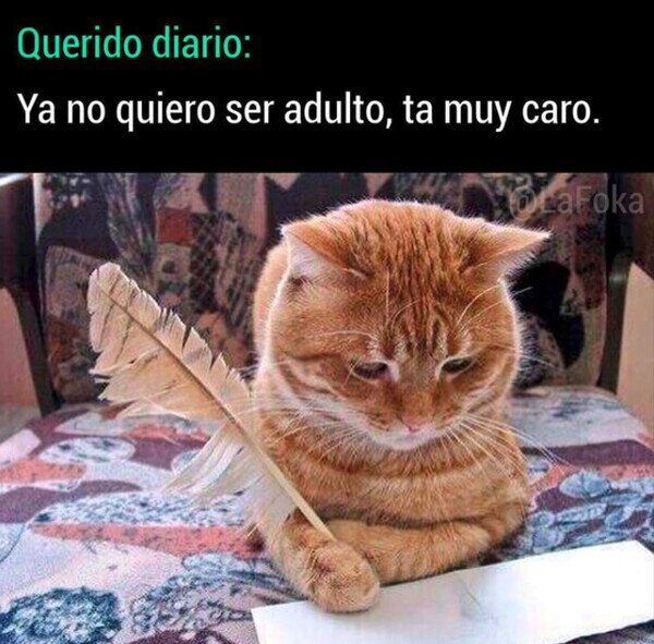 Meme_otros - Yo ya paso