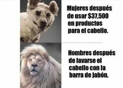 Enlace a Él sí que luce siempre limpio