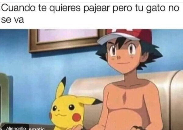 fap,gato,pokemon,ash,pikachu