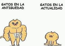 Enlace a Ya no son lo que eran