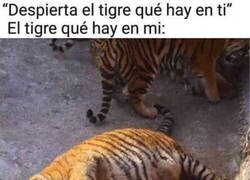Enlace a El tigre que hay en mí