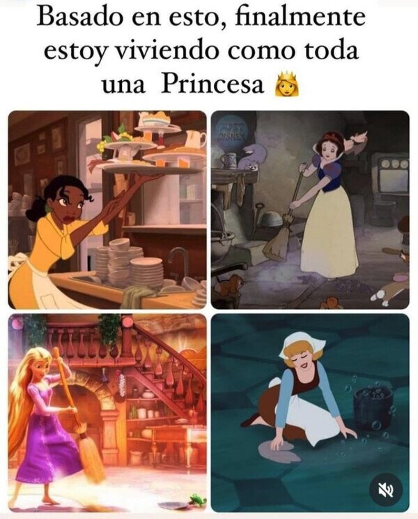 Meme_otros - Tengo una vida de princesa